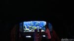 Serunya Habiskan Akhir Pekan di Sea World Ancol