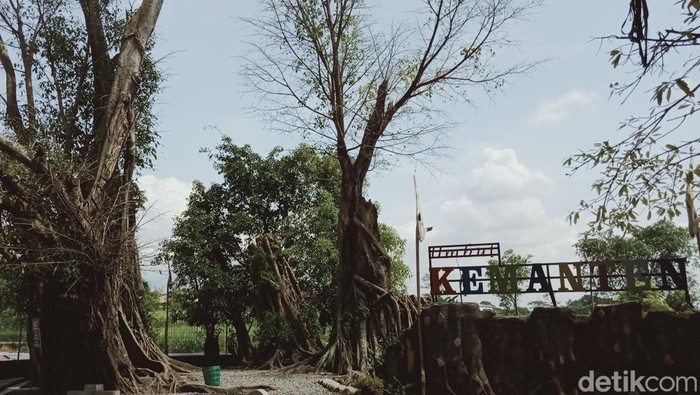 Umbul ini konon menjadi tempat ritual berendam alias kungkum para raja dan bangsawan Jawa.