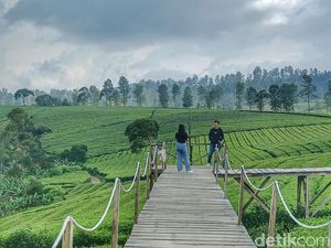 Sempat Jadi Primadona, Wisata Riung Gunung Pangalengan Kini Sepi
