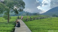 Masyarakat banyak yang mengunjungi sky walk, Bowo menjelaskan sky walk tersebut merupakan salah satu fasilitas camping ground. Dengan itu, kata dia, masyarakat bisa mengunjungi Nuansa Riung Gunung hanya sekedar swafoto.