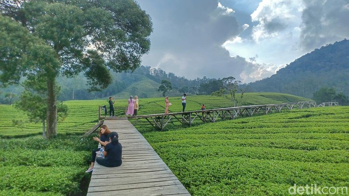 Sempat menjadi primadona pada tahun 2021, objek wisata Nuansa Riung Gunung di Pangalengan, Kabupaten Bandung saat ini mengalami penurunan pengunjung. Hal tersebut diakibatkan adanya peraturan PPKM level 3 yang ada di Jawa hingga Bali.