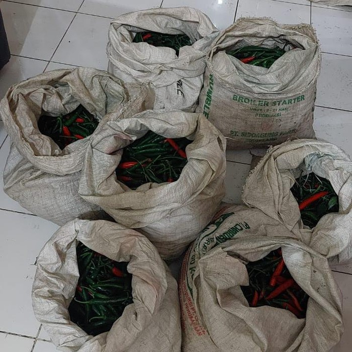 8 karung cabai yang dicuri