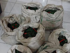 Dua Pemuda Curi 8 Karung Cabai Keok di Tangan Petani Kota Batu