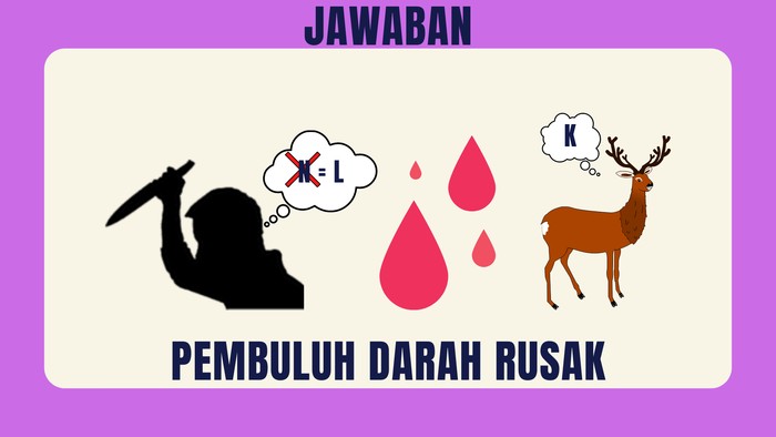 Asah otak detikHealth.