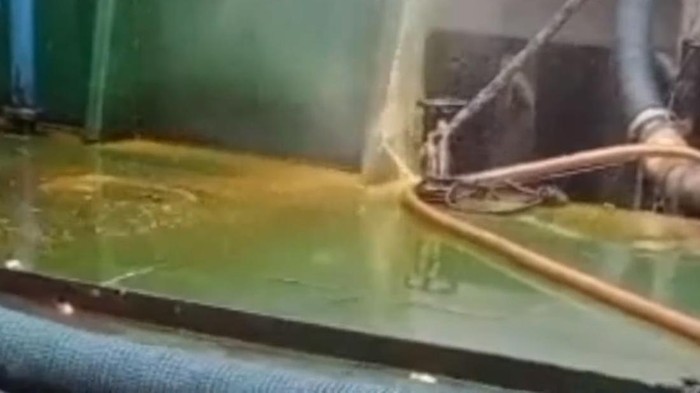 Minyak Goreng Tumpah