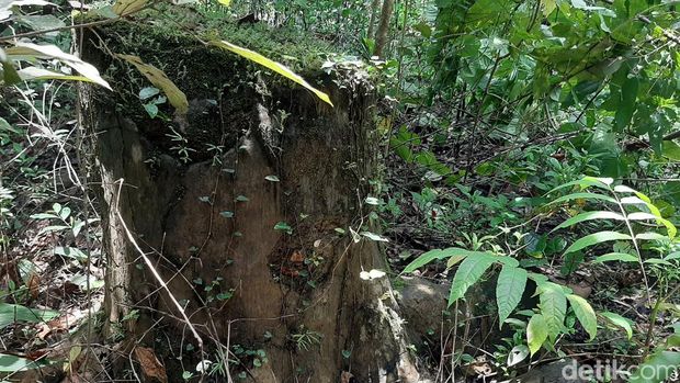 Permandian wisata alam cekdam Toli-toli.