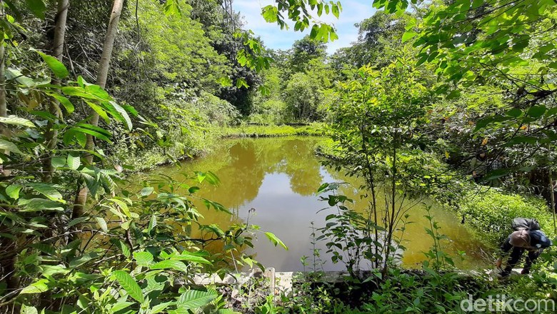 Permandian wisata alam cekdam Toli-toli. Permandian wisata alam cekdam Toli-toli.