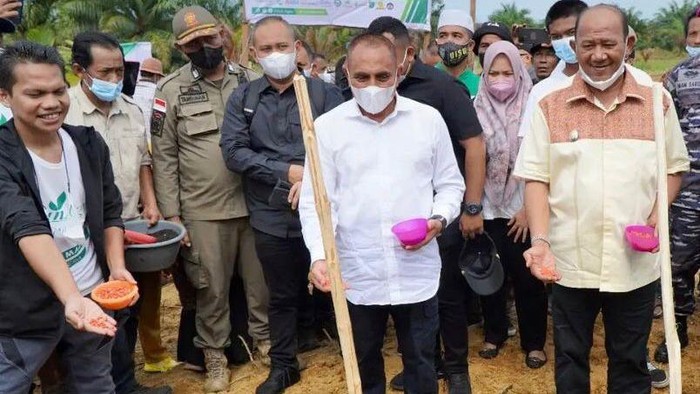 sentra jagung terpadu
