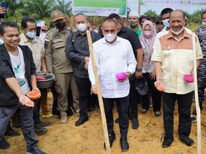 Ada Sentra Jagung Terpadu, Produksi Panen Petani Langkat Diharapkan Naik