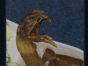 Apes! 10 Kejadian Momen Pesan Ayam Goreng Online Ini Berujung Nyesek
