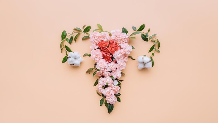 ilustrasi vagina Abstract image of the uterus. female reproductive system made up of flowers and leaves. uterus conceptual image.
