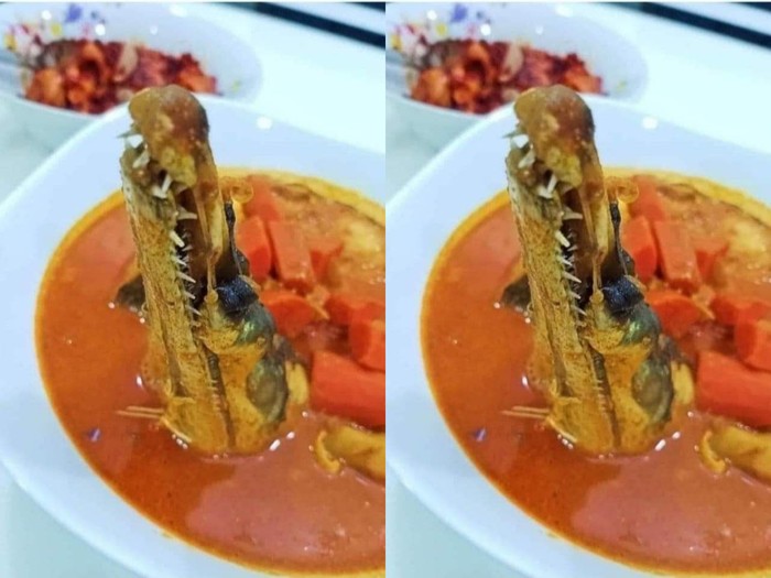 Heboh! Restoran Tawarkan Menu Kari Moncong Buaya, Ini Faktanya