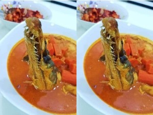 Heboh! Restoran Tawarkan Menu Kari Moncong Buaya, Ini Faktanya