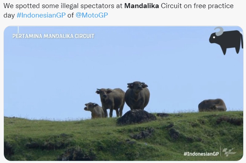 Meme MotoGP Mandalika 2022 Usai Event
