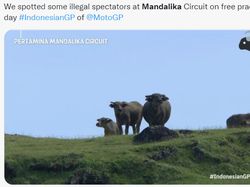 Meme Kocak MotoGP Mandalika, Marquez Diurut dan Ada Petir Thor