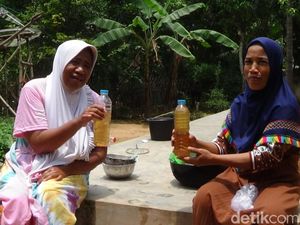 Warga Sumenep Produksi Minyak Kelapa Dampak Migor Masih Mahal-Langka
