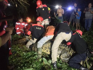 Buaya 4 Meter Muncul Saat Warga Mancing di Kutim, Ditangkap Pakai Jaring