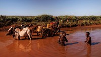 Dua pria mandi di air hujan sementara dua anak laki-laki mengisi tabung plastik dengan air, di sepanjang RN13 (Jalan Nasional 13), dekat kota Ambovombe, Madagaskar.
