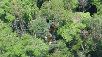 Dalam gambar yang dirilis oleh Angkatan Udara Brasil ini terlihat bagian dari Boeing 737-800 milik maskapai GOL Airlines yang jatuh di hutan Amazon pada Jumat, 29 September 2006 silam. (AP Photo/Brazils Air Force, Handout).