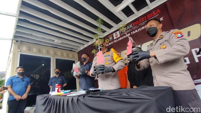 Dua pengguna ganja ditangkap bersama barang bukti 250 gram ganja kering oleh Polres Pelabuhan Tanjung Perak, Surabaya