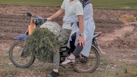 Setelah menikah, keromantisan keduanya semakin terlihat. Naik motor berdua di tengah sawah, Ria Ricis dan Teuku Ryan ikut membantu para petani panen di sawah. Foto: Instagram/riaricis1795