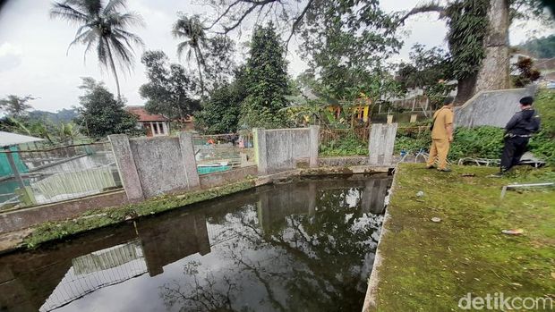Kolam yang menampung mata air yang dihasillkan pohon kihujan