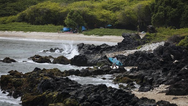 Traveler pun dilarang berenang dan main surfing di luar wilayah laguna Pulau Reunion. Ratusan ekor hiu sudah siap menyerang jika traveler tetap nekat berenang di perairan yang cukup dalam di pulau itu. Traveler pun dilarang berenang dan main surfing di luar wilayah laguna Pulau Reunion. Ratusan ekor hiu sudah siap menyerang jika traveler tetap nekat berenang di perairan yang cukup dalam di pulau itu.