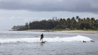 Perairan pulau Reunion jadi tempat tinggal yang nyaman bagi kawanan hiu. Berani berenang di habitat hiu, traveler berarti sudah siap untuk berhadapan dengan predator ganas lautan.