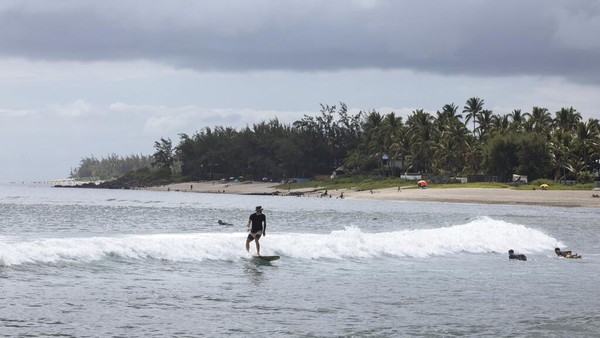 Perairan pulau Reunion jadi tempat tinggal yang nyaman bagi kawanan hiu. Berani berenang di habitat hiu, traveler berarti sudah siap untuk berhadapan dengan predator ganas lautan. Perairan pulau Reunion jadi tempat tinggal yang nyaman bagi kawanan hiu. Berani berenang di habitat hiu, traveler berarti sudah siap untuk berhadapan dengan predator ganas lautan.