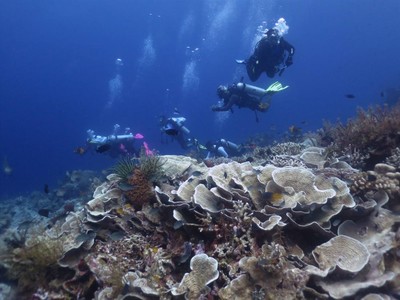 Indonesia Rayakan Hari Laut Sedunia dengan Gerakan Bersih Pantai di Wakatobi