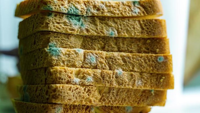 Tak Sengaja Makan Roti yang Sudah Berjamur, Apa Bahayanya? Dokter Bilang Gini
