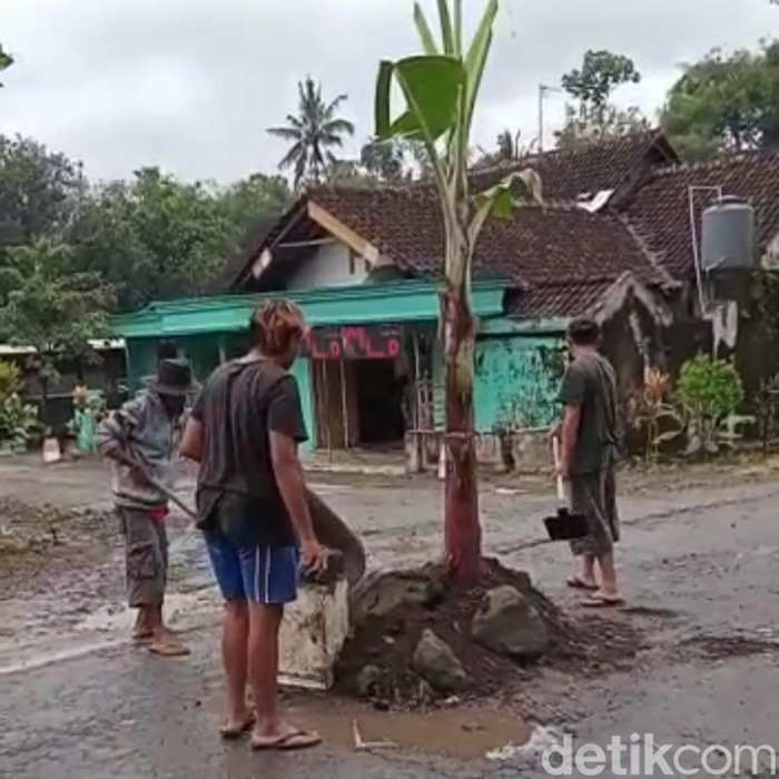 Warga tanam pohon pisang di jalan rusak