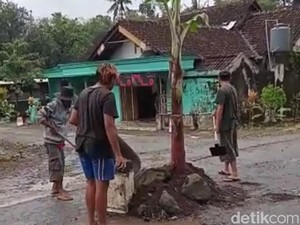 Warga Garum Blitar Tanam Pohon Pisang Protes Jalan Desa Rusak