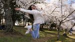 Tak Cuma di Jepang, Sakura Juga Bikin Washington D.C Makin Cantik