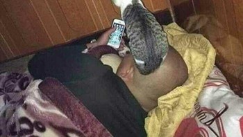 Ikutan nonton. Foto: Boredpanda