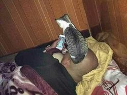 Aksi Aneh Hewan yang Tertangkap Kamera Bikin Ngakak