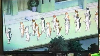 Ikutan adegan di TV. Foto: Boredpanda