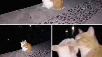 Hayo ada yang ketahuan. Foto: Boredpanda