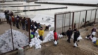 Penduduk setempat membawa karung berisi pasir dari pantai Sobachyy untuk memperkuat pertahanan kota, saat invasi Rusia ke Ukraina berlanjut di Odessa. (REUTERS/Nacho Doce)