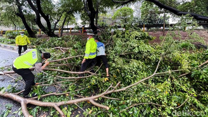 Hujan deras disertai angin kencang melanda sebagian wilayah kota Bekasi. Sejumlah pohon di kawasan itu pun tumbang tersapu angin kencang.