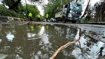 Bruuuk... Pohon di Bekasi Tumbang Gegara Angin Kencang
