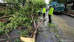 Bruuuk... Pohon di Bekasi Tumbang Gegara Angin Kencang