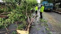 Sejumlah petugas kepolisian mencoba memindahkan pohon yang tumbang di Jalan Ahmad Yani, Kota Bekasi, Jawa Barat, Rabu (23/3/2022).