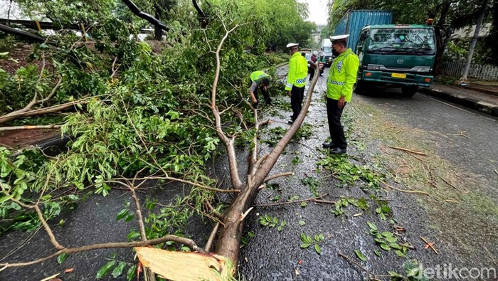 Bruuuk... Pohon di Bekasi Tumbang Gegara Angin Kencang Hujan deras disertai angin kencang melanda sebagian wilayah kota Bekasi. Sejumlah pohon di kawasan itu pun tumbang tersapu angin kencang.