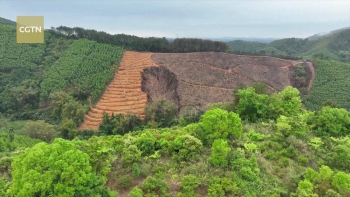 Cari Black Box, Ratusan Petugas Sisir Lokasi Jatuhnya Pesawat di China Ratusan petugas dikerahkan untuk mencari korban dan black box pesawat China Eastern Airlines yang jatuh di wilayah Guangxi. Ini potretnya.