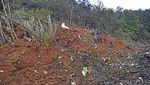 Petugas Sisir Lokasi Jatuhnya Pesawat Boeing 737-800 di China