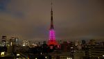 Jepang Krisis Listrik, Lampu di Tokyo Tower Menyala Sebagian