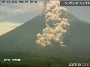Penampakan Gunung Semeru Luncurkan Awan Panas Guguran Sejauh 4 Km
