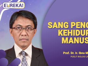 Mengenal Elang Jawa Sang Garuda