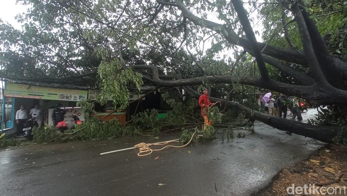 Pohom tumbang timpa warung makan di Bekasi